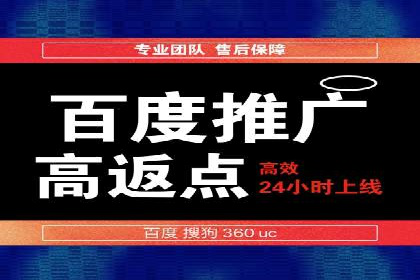 大型企业SEM外包实战案例